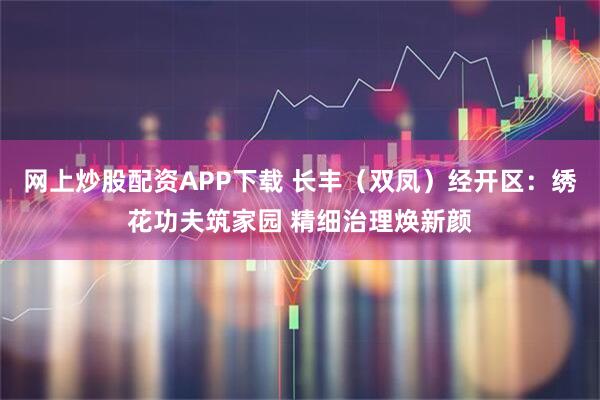网上炒股配资APP下载 长丰（双凤）经开区：绣花功夫筑家园 精细治理焕新颜