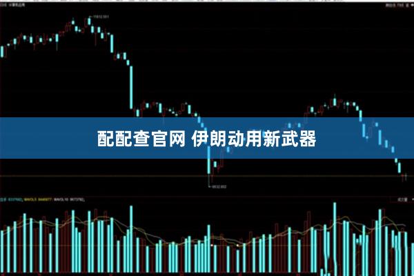 配配查官网 伊朗动用新武器